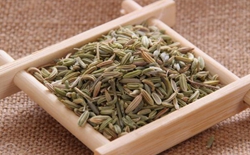 如何選擇茶葉包裝機(jī)廠家？選擇標(biāo)準(zhǔn)解析茶葉包裝機(jī)廠家。